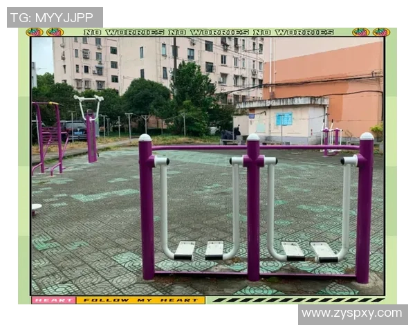 定制室外大型健身器材提升社区健身环境与居民健康生活品质