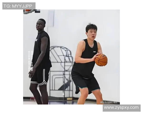 篮球明星与女明星的职业特点和生活方式的深刻对比分析