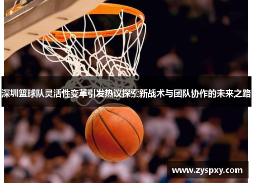 深圳篮球队灵活性变革引发热议探索新战术与团队协作的未来之路