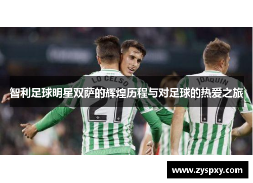 智利足球明星双萨的辉煌历程与对足球的热爱之旅